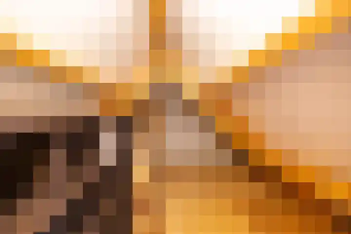 Lellensterweg 13 Stedum thumbnail 41