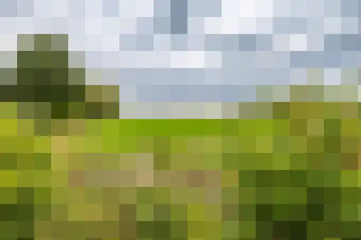 Lellensterweg 13 Stedum thumbnail 8