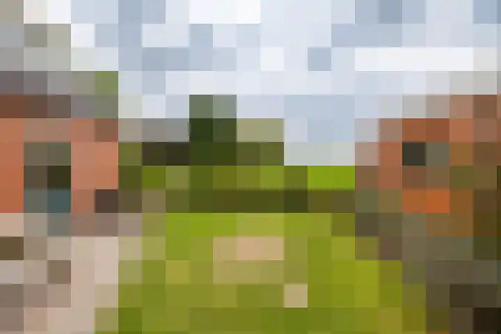 Lellensterweg 13 Stedum thumbnail 9
