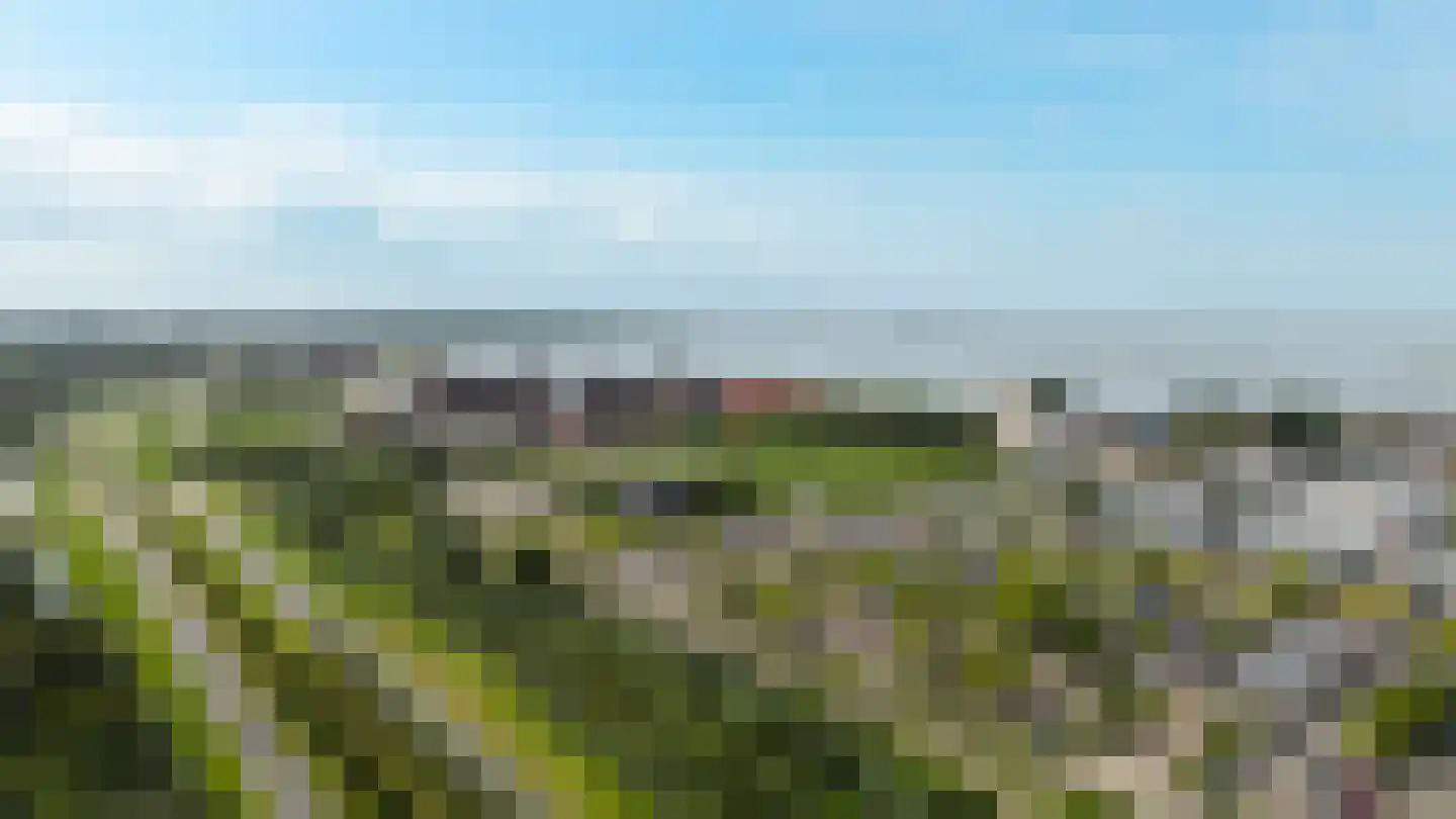 Lelybaan 56 Lelystad thumbnail 15