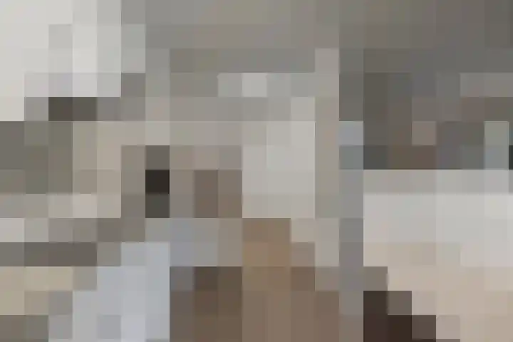 Lelypark 49 Wieringerwerf thumbnail 13