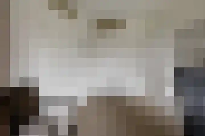 Lelypark 49 Wieringerwerf thumbnail 16