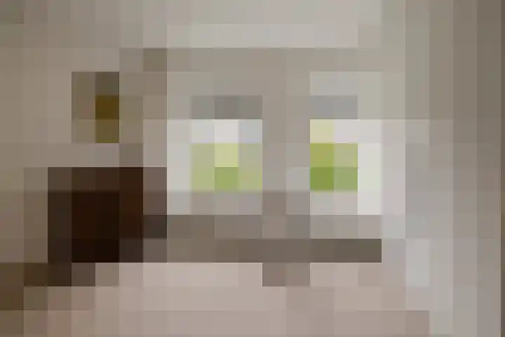 Lelypark 49 Wieringerwerf thumbnail 17