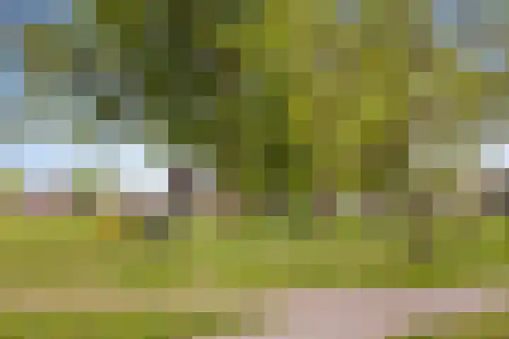 Lelypark 49 Wieringerwerf thumbnail 22