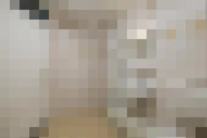 Lelypark 49 Wieringerwerf thumbnail 4