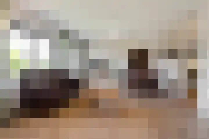 Lelypark 51 Wieringerwerf thumbnail 10