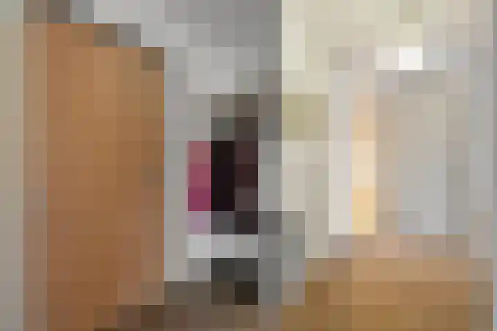 Lelypark 51 Wieringerwerf thumbnail 8