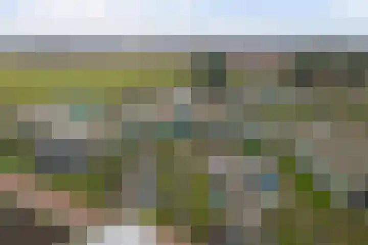 Lelypark 52 Wieringerwerf thumbnail 7