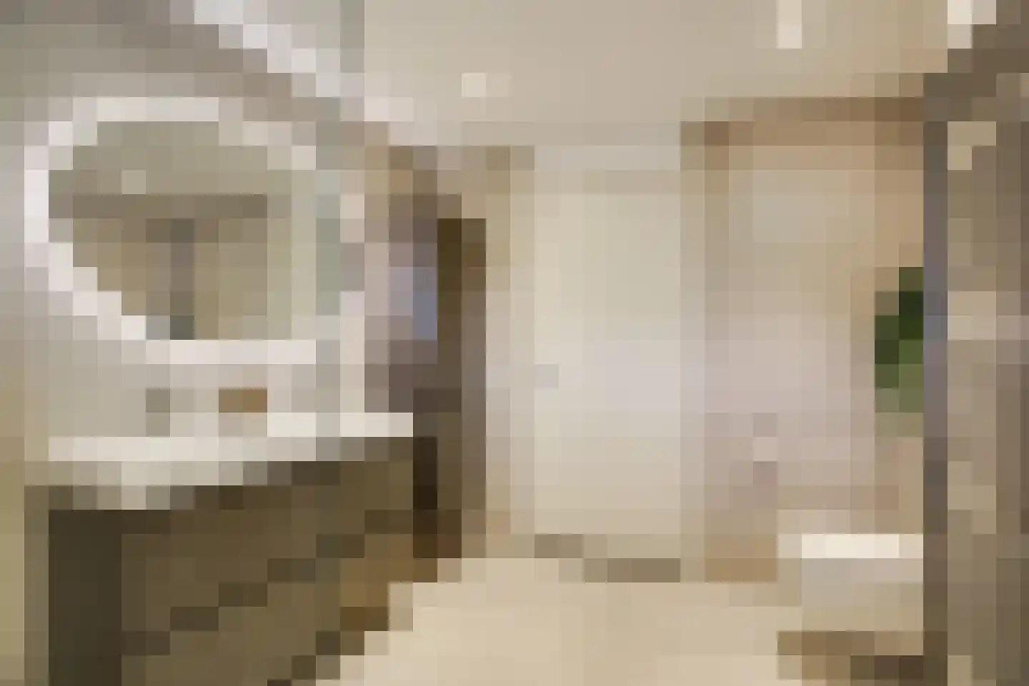 Lelyschans 22 Zoetermeer thumbnail 25