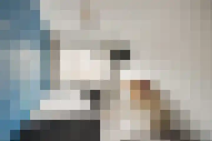 Lelyschans 22 Zoetermeer thumbnail 27