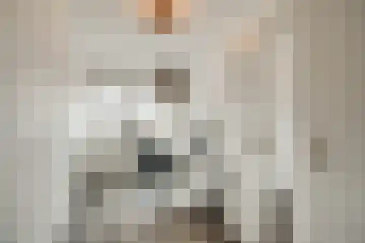 Lelyschans 22 Zoetermeer thumbnail 31