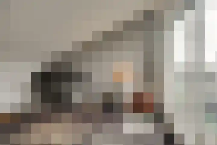 Lelyschans 22 Zoetermeer thumbnail 34