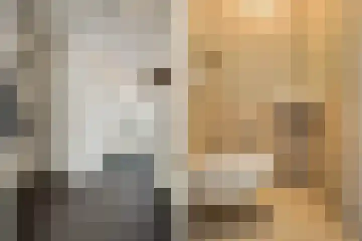 Lelyschans 22 Zoetermeer thumbnail 9