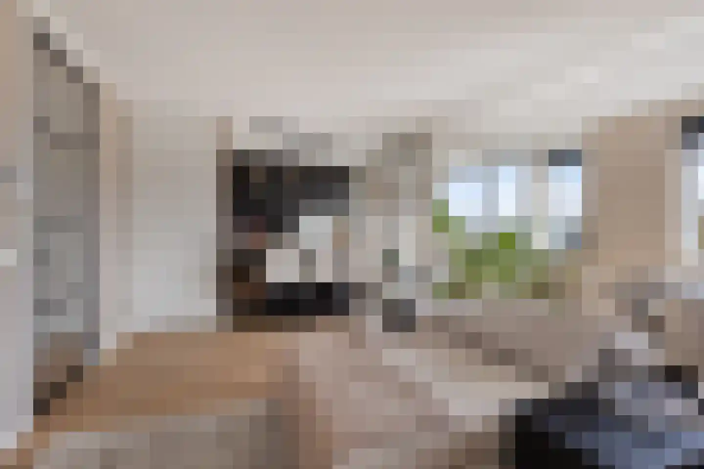 Lelystadstraat 26 's-Hertogenbosch thumbnail 4