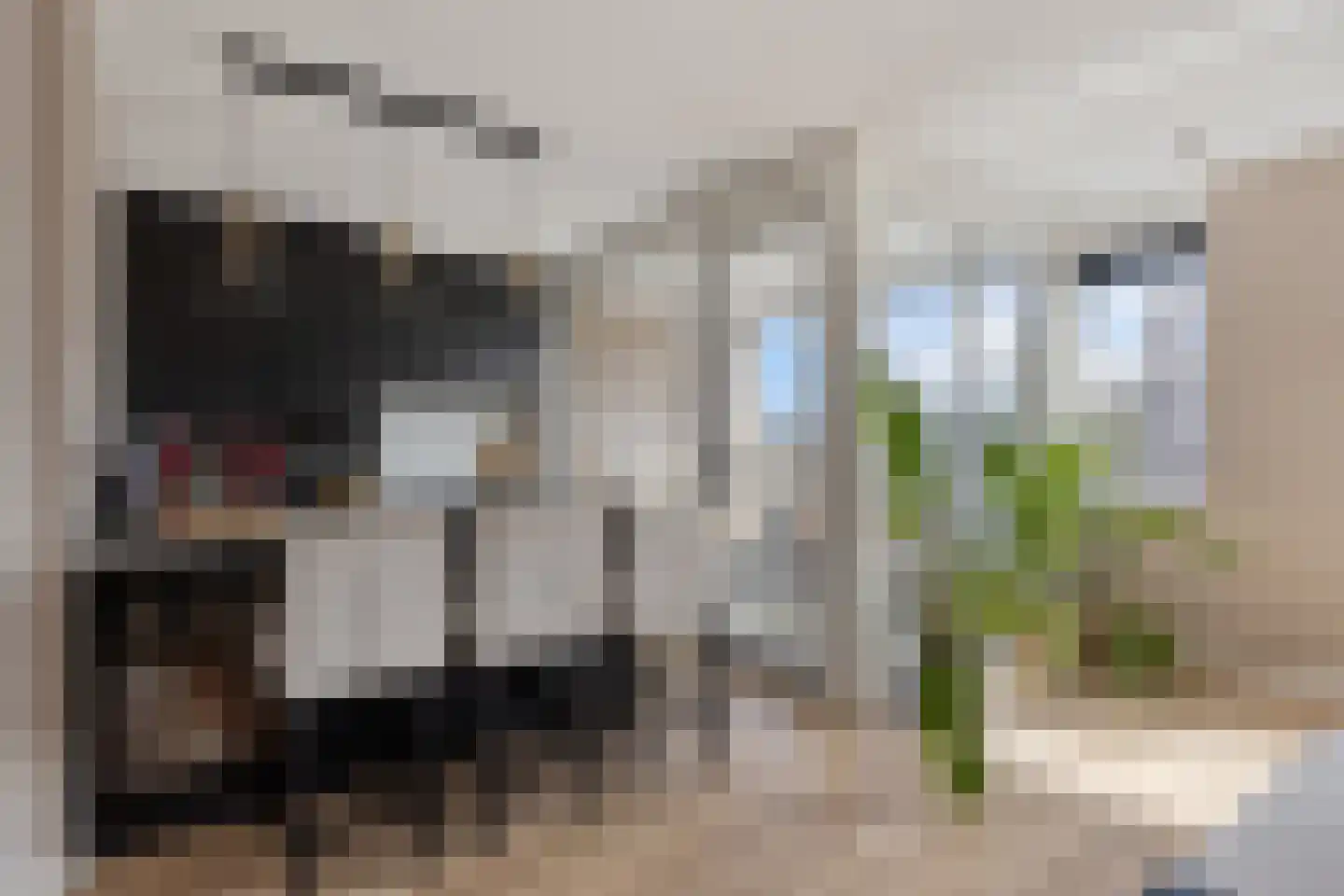 Lelystadstraat 26 's-Hertogenbosch thumbnail 5