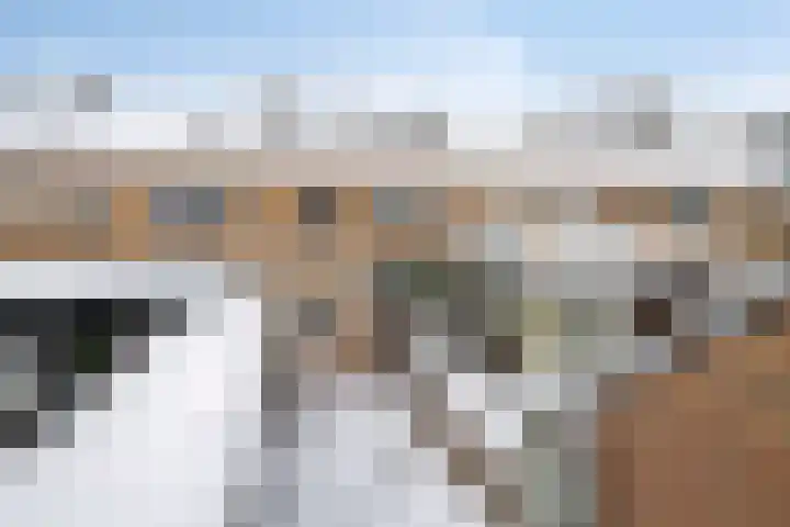 Lelystraat 12 Kampen thumbnail 19
