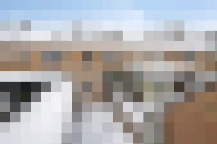 Lelystraat 12 Kampen thumbnail 4