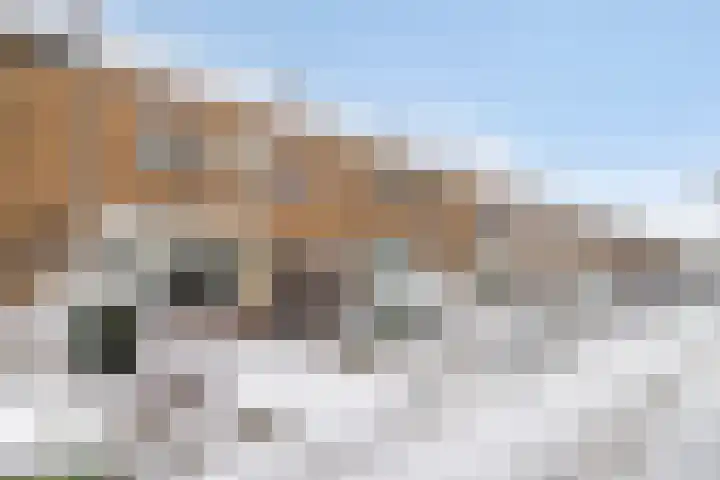 Lelystraat 12 Kampen thumbnail 6