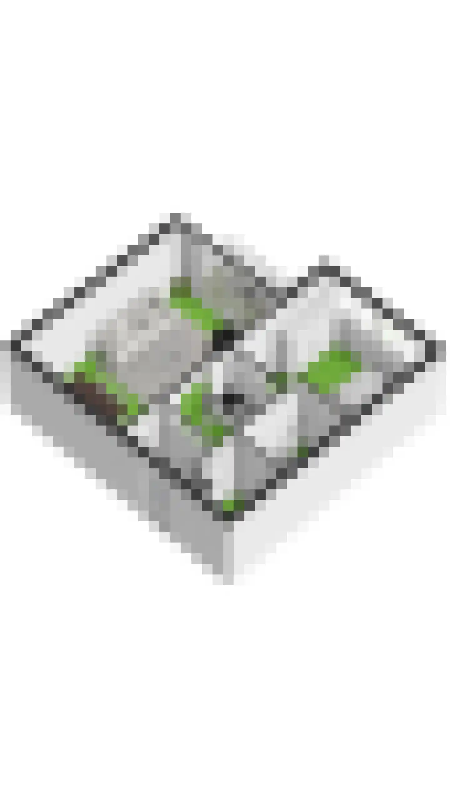 Lelystraat 2 B2 Breda thumbnail 33
