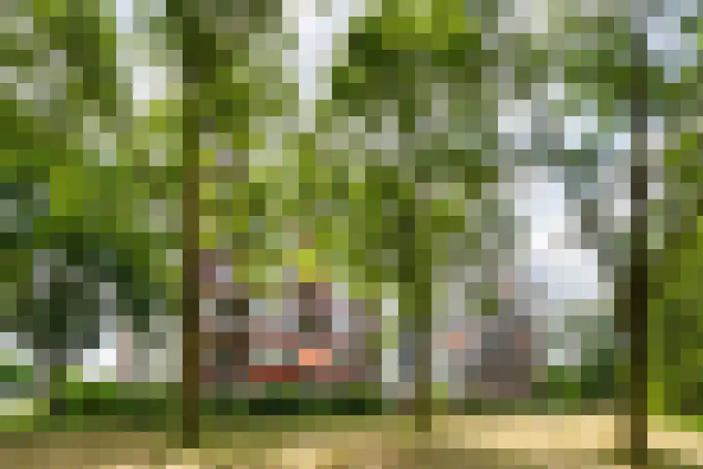 Lelystraat 2 C22 Breda thumbnail 34
