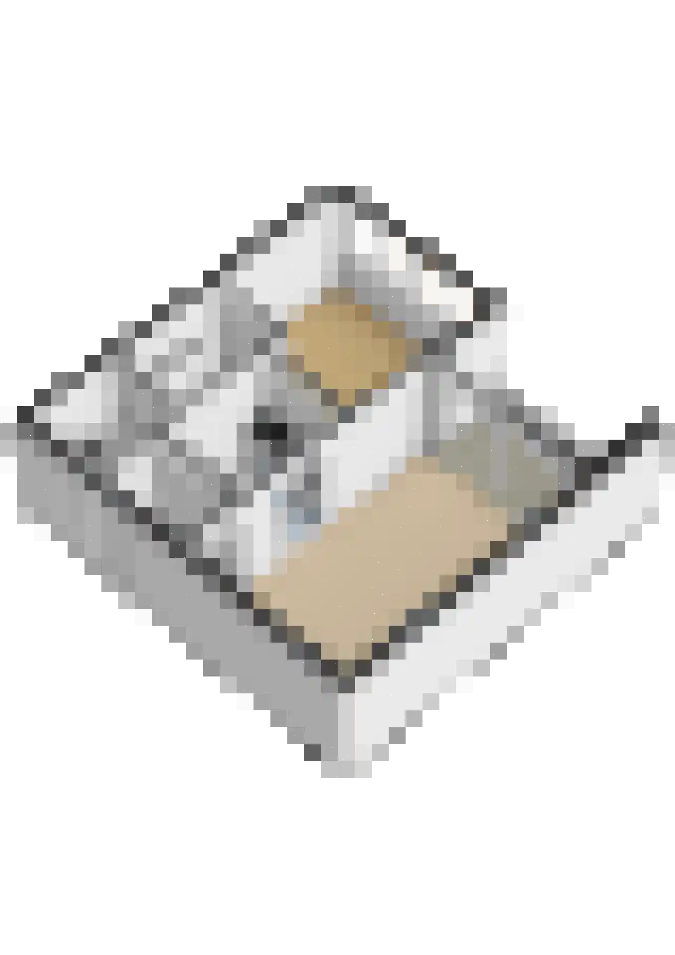 Lelystraat 2 C22 Breda thumbnail 39