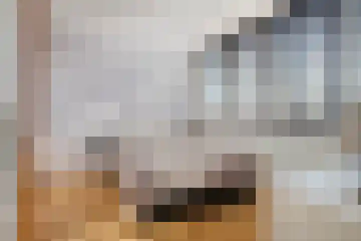 Lelystraat 2 C29 Breda thumbnail 23
