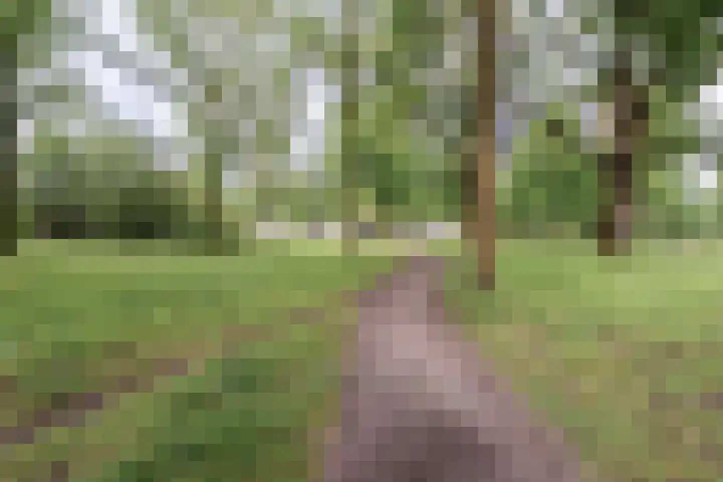 Lelystraat 2 D38 Breda thumbnail 25