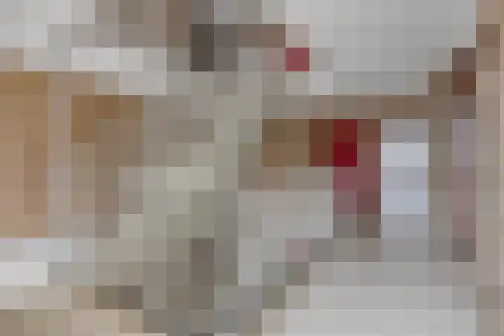 Lelystraat 2 E51 Breda thumbnail 22