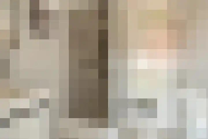 Lelystraat 2 E60 Breda thumbnail 16