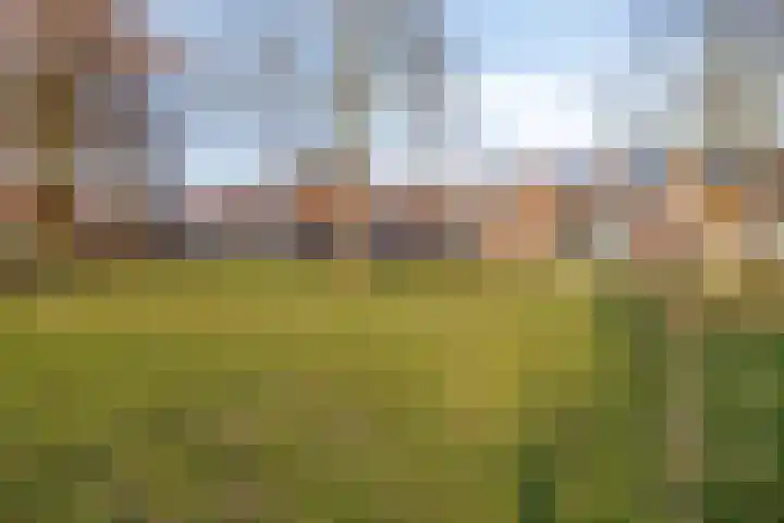 Lelystraat 2 E60 Breda thumbnail 24