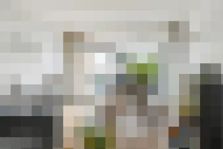 Lelystraat 2 E63 Breda thumbnail 23