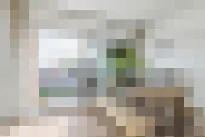 Lelystraat 2 E63 Breda thumbnail 24