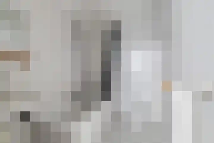 Lelystraat 2 E63 Breda thumbnail 36