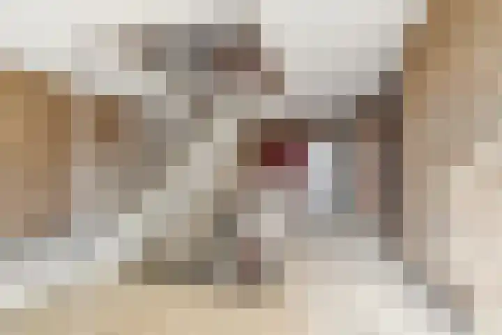 Lelystraat 2 E63 Breda thumbnail 41