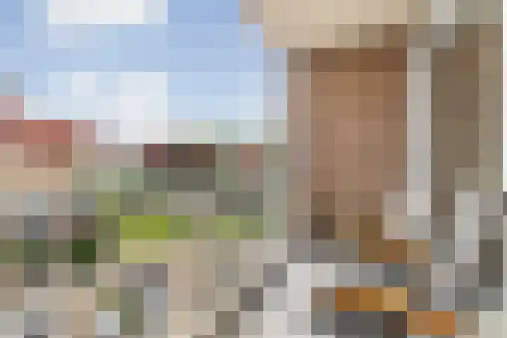 Lelystraat 2 E63 Breda thumbnail 42