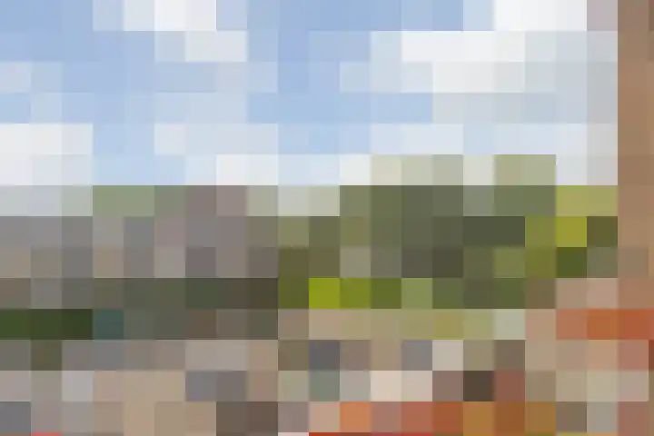 Lelystraat 2 E63 Breda thumbnail 45
