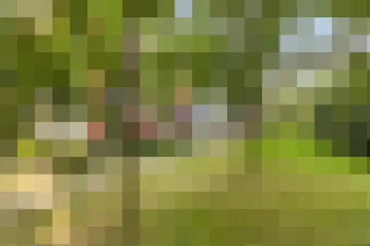 Lelystraat 2 E63 Breda thumbnail 46
