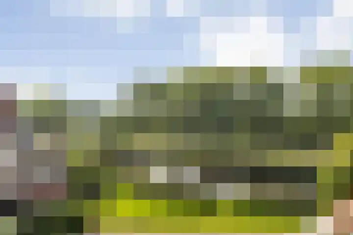 Lelystraat 2 E63 Breda thumbnail 48