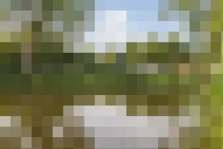Lelystraat 2 E63 Breda thumbnail 49