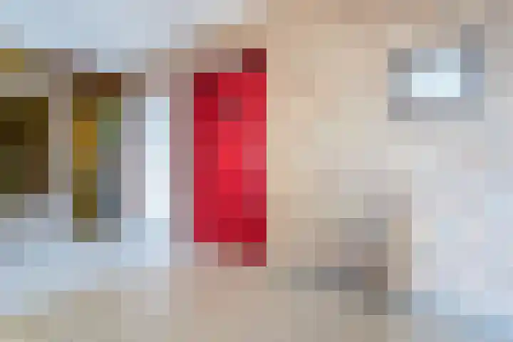 Lelystraat 2 F70 Breda thumbnail 17