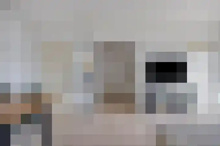 Lelystraat 2 F78 Breda thumbnail 12