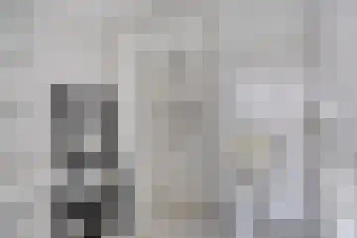 Lelystraat 2 F78 Breda thumbnail 17