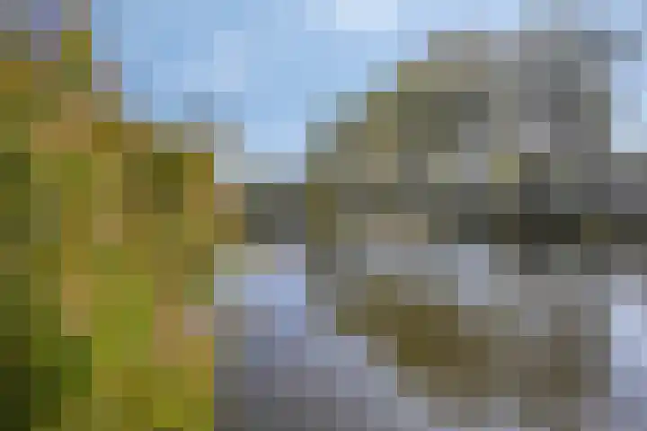 Lelystraat 2 F78 Breda thumbnail 24