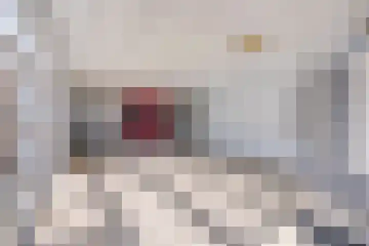 Lelystraat 2 F78 Breda thumbnail 5
