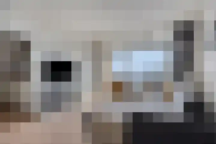 Lelystraat 2 F78 Breda thumbnail 8