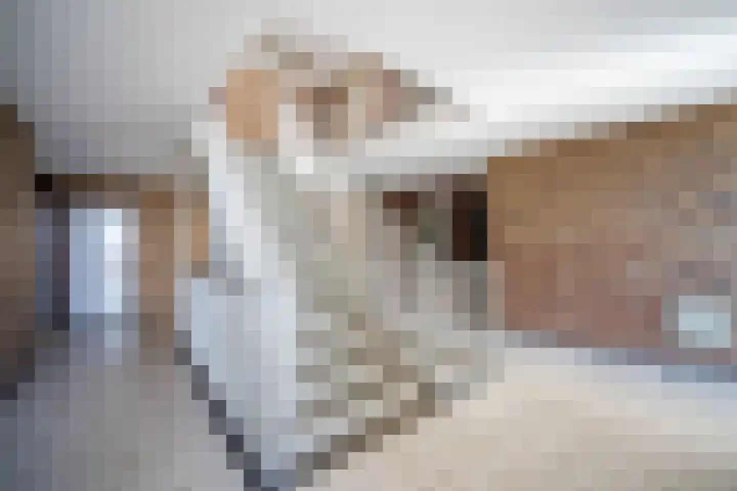 Lelystraat 2 G88 Breda thumbnail 12