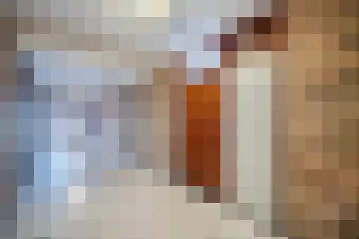 Lelystraat 2 G88 Breda thumbnail 13