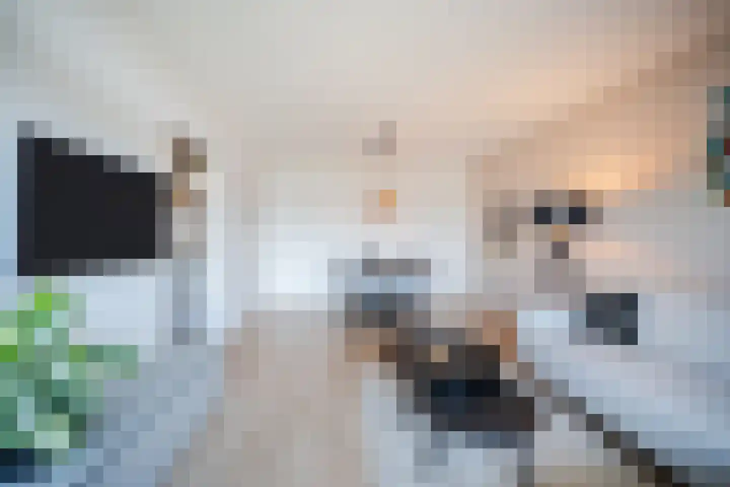 Lelystraat 2 G88 Breda thumbnail 22