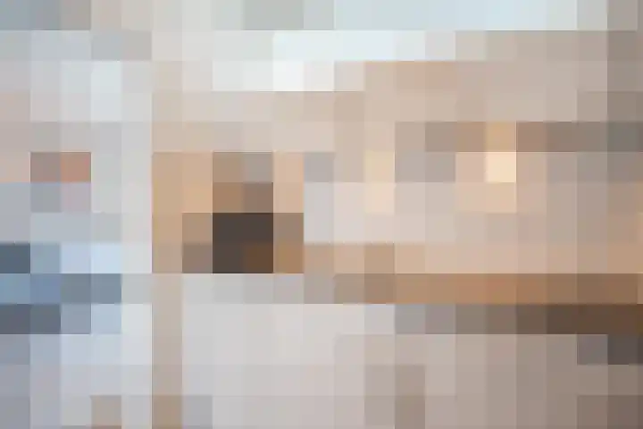 Lelystraat 2 G88 Breda thumbnail 30