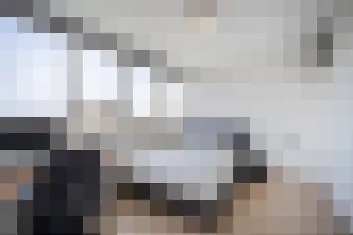 Lelystraat 2 G88 Breda thumbnail 33